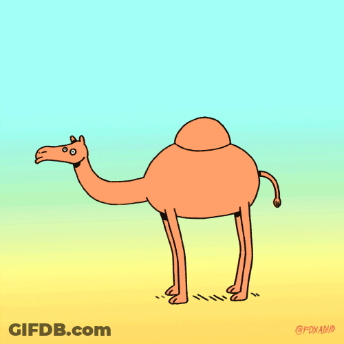 Buenos Dias Miercoles GIF