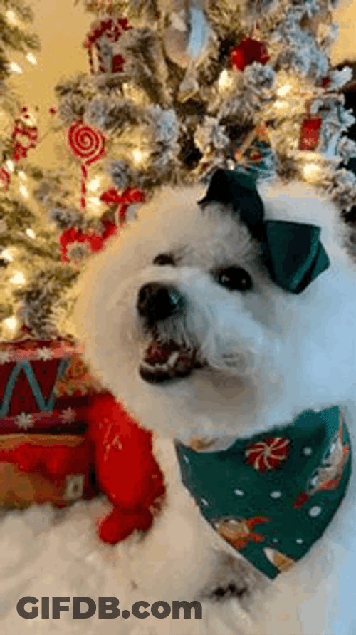 Buenos Dias Navideños GIF
