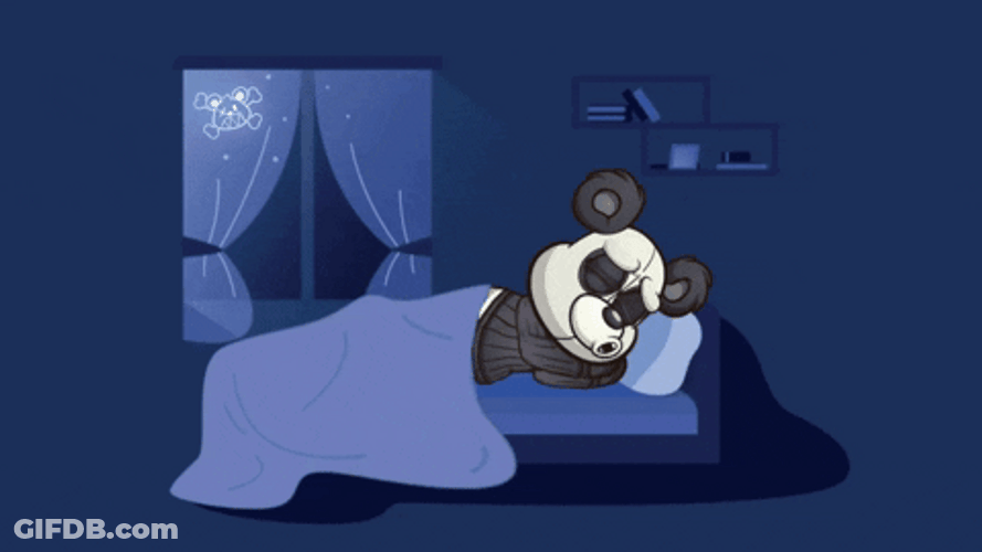 Buenos Dias Osito GIF