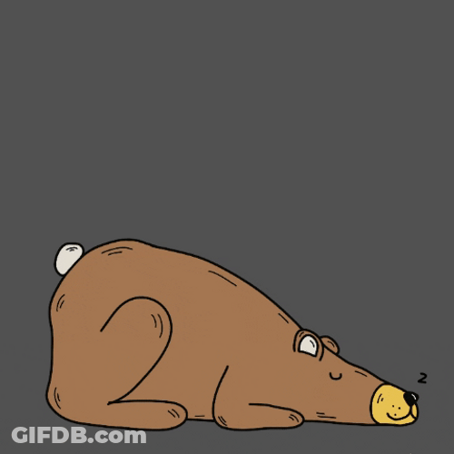 Buenos Dias Osito GIF