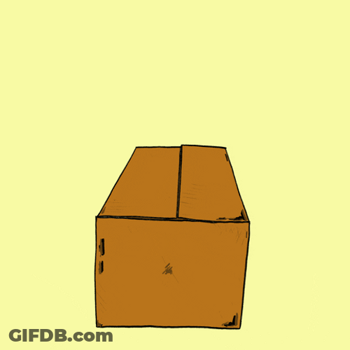 Buenos Dias Osito GIF