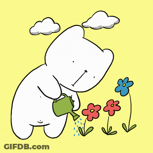 Buenos Dias Osito GIF