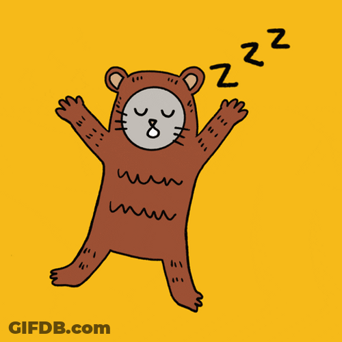 Buenos Dias Osito GIF