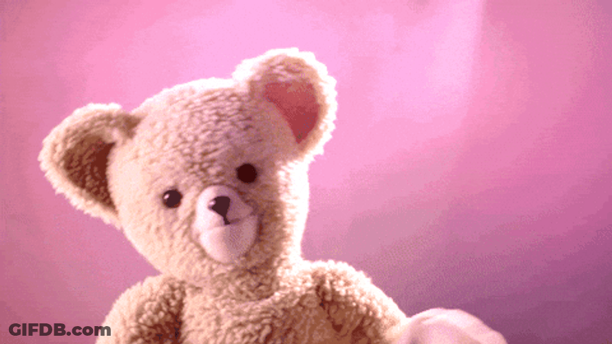 Buenos Dias Osito GIF