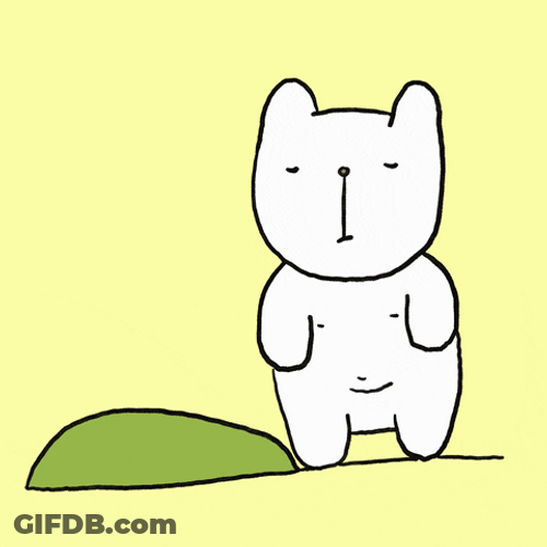 Buenos Dias Osito GIF
