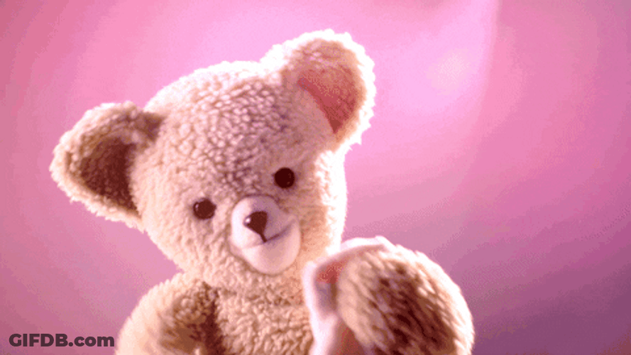 Buenos Dias Osito GIF