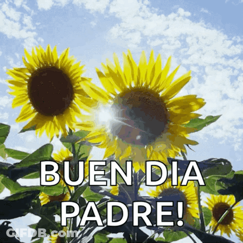 Buenos Dias Papa GIF