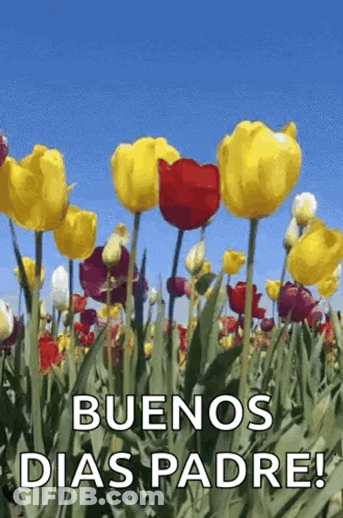 Buenos Dias Papa GIF