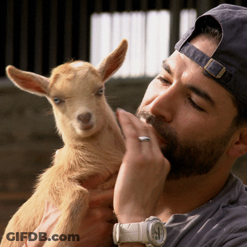Buenos Dias Papa GIF