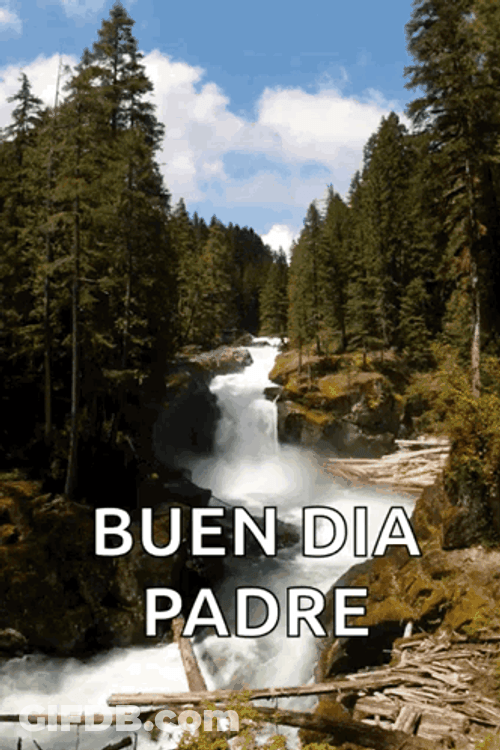 Buenos Dias Papa GIF