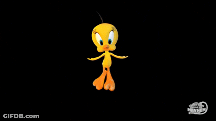 Buenos Dias Piolin GIF