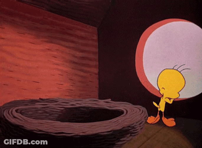 Buenos Dias Piolin GIF