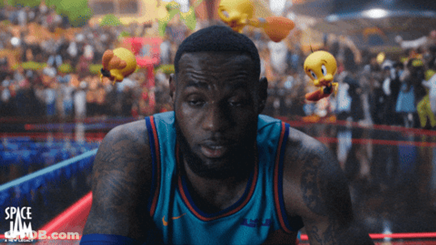 Buenos Dias Piolin GIF