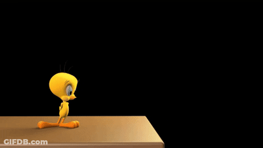 Buenos Dias Piolin GIF