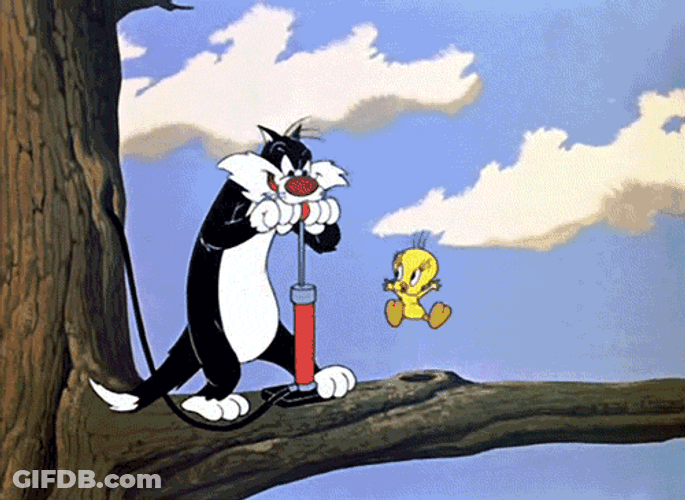 Buenos Dias Piolin GIF