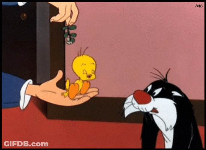 Buenos Dias Piolin GIF
