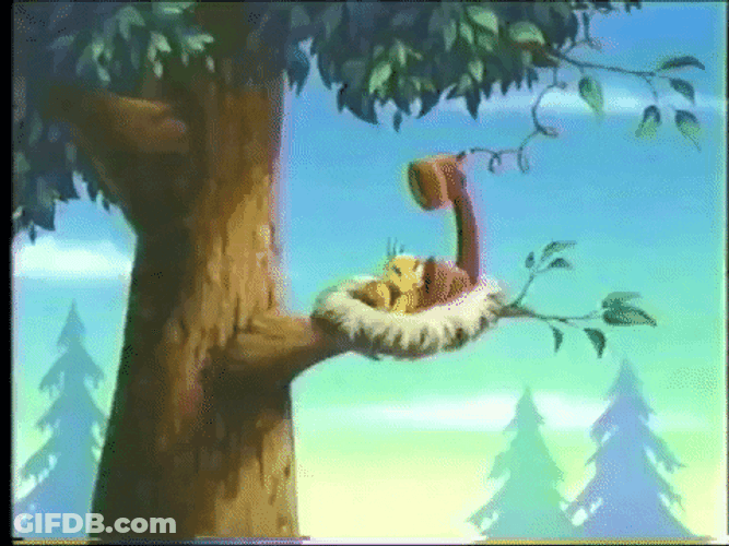 Buenos Dias Piolin GIF