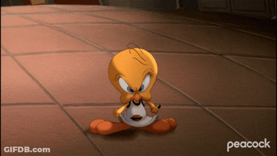 Buenos Dias Piolin GIF