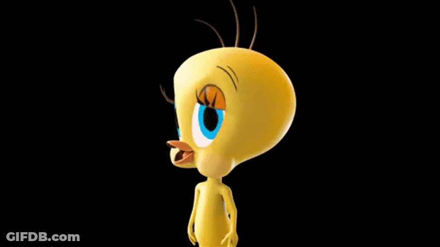 Buenos Dias Piolin GIF