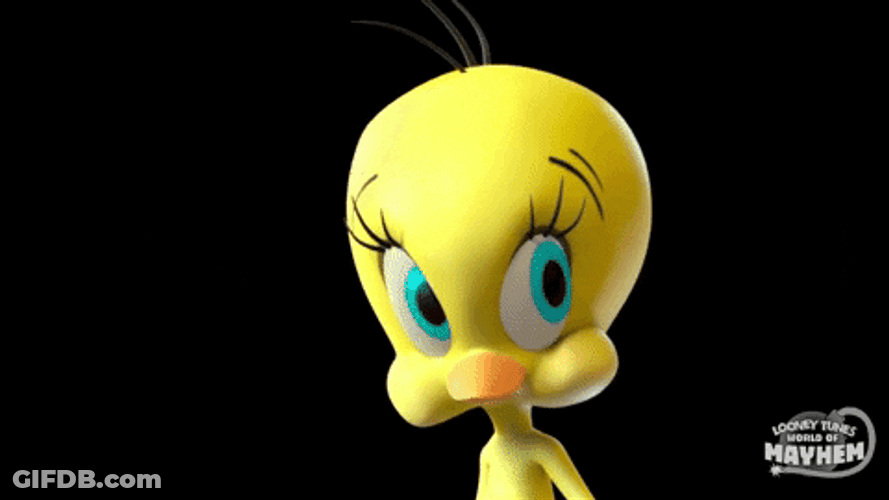Buenos Dias Piolin GIF