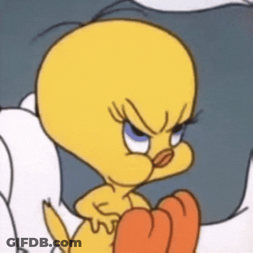 Buenos Dias Piolin GIF