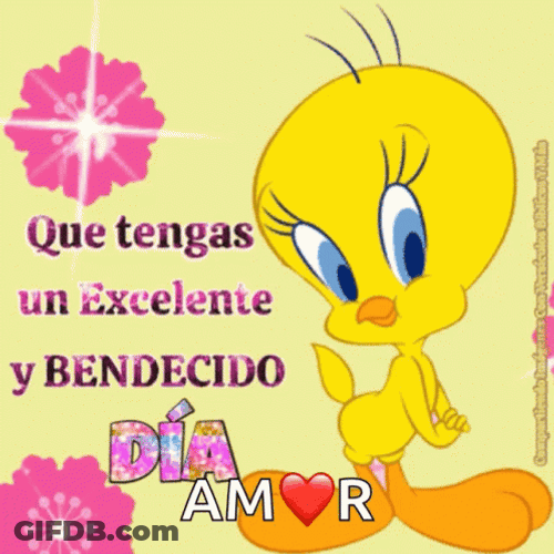 Buenos Dias Piolin GIF