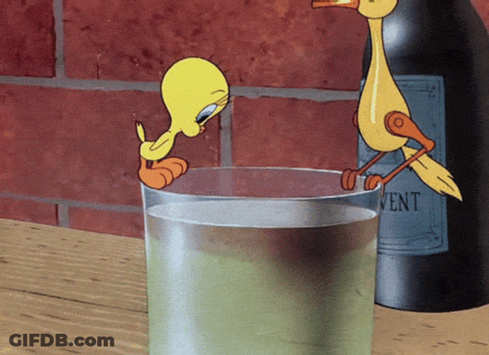 Buenos Dias Piolin GIF
