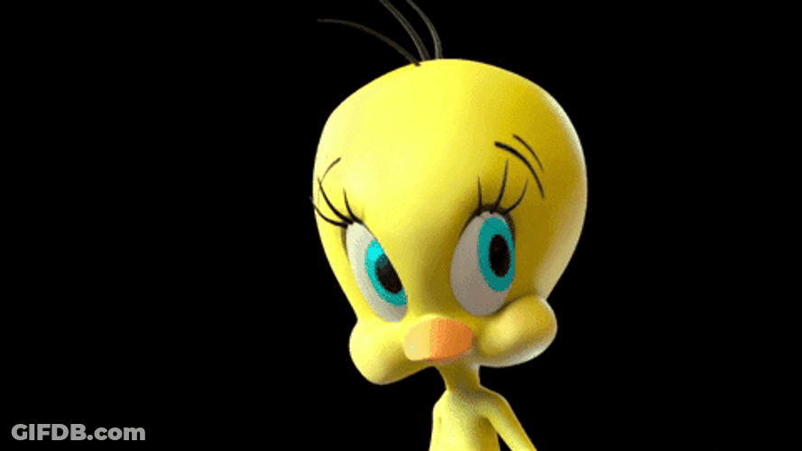Buenos Dias Piolin GIF
