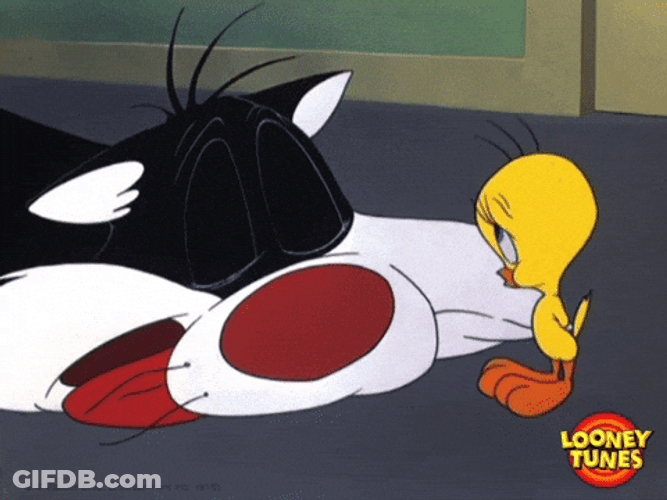 Buenos Dias Piolin GIF