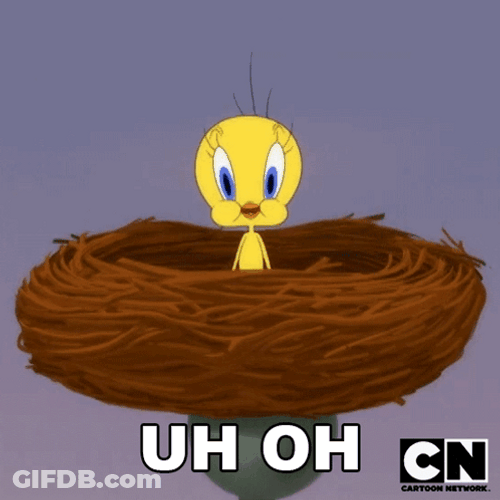 Buenos Dias Piolin GIF
