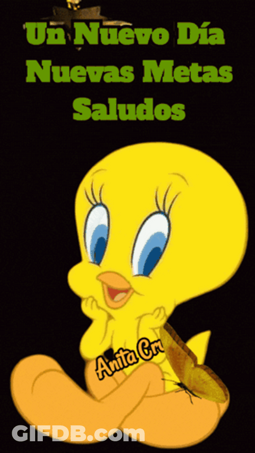 Buenos Dias Piolin GIF