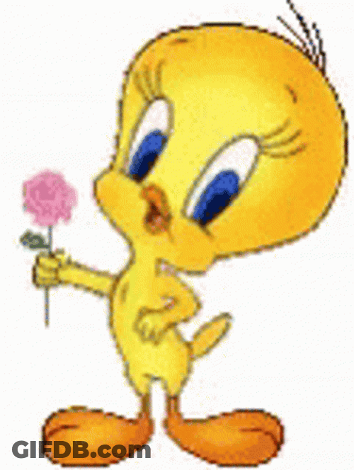 Buenos Dias Piolin GIF