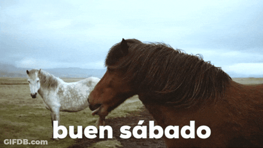 Buenos Dias Sabado GIF