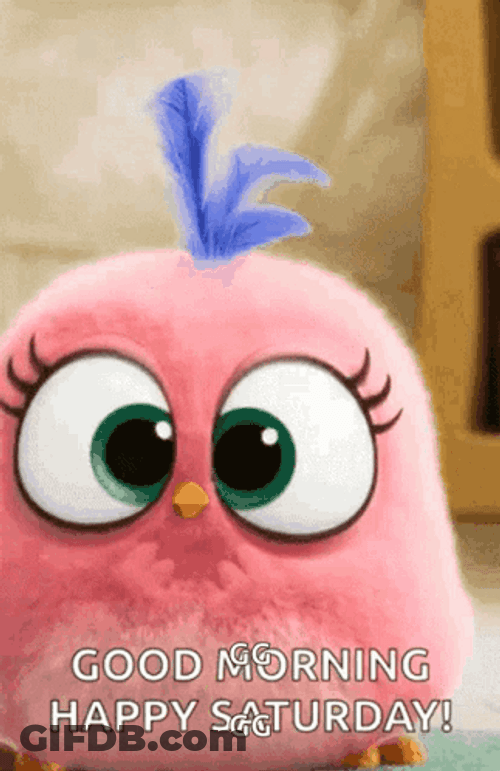 Buenos Dias Sabado GIF