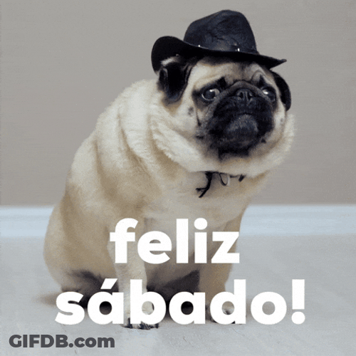 Buenos Dias Sabado GIF