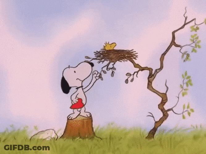 Buenos Dias Snoopy GIF