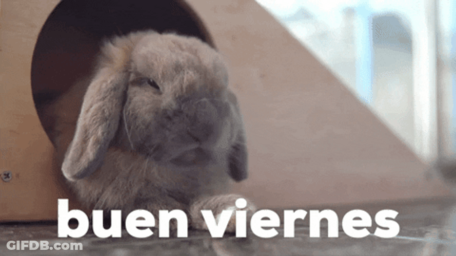 Buenos Dias Viernes GIF