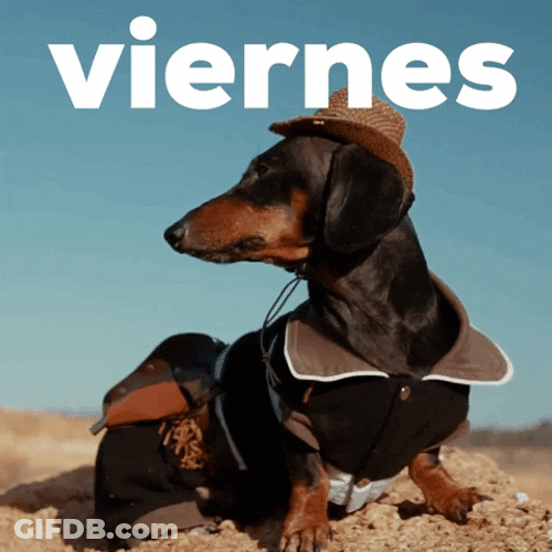 Buenos Dias Viernes GIF