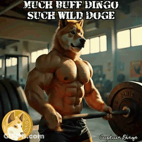 Buff Doge Lifting Barbell GIF