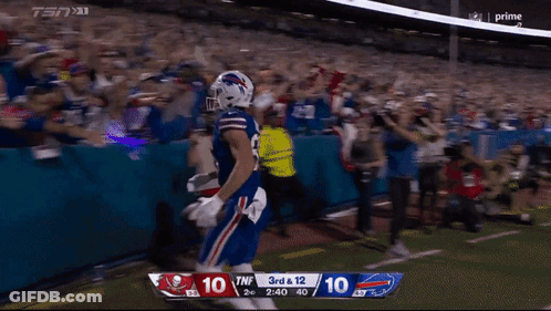 Buffalo Bills Player Held Up By Crowd GIF