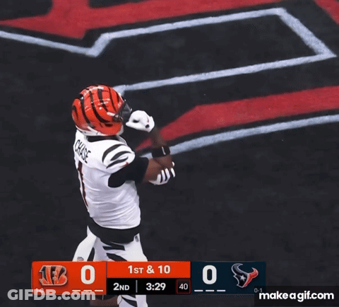 Buffalo Bills Vs Texans Football Game GIF