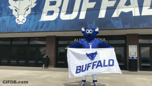 Buffalo Mascot Holding Flag GIF