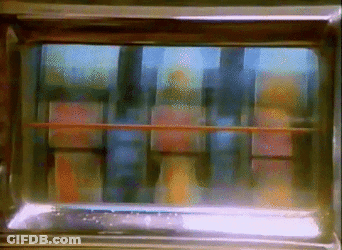 Buffalo Slots Las Vegas GIF