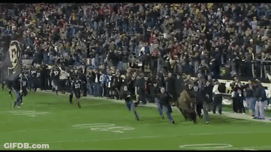 Buffs Colorado Buffaloes Video Compilation GIF