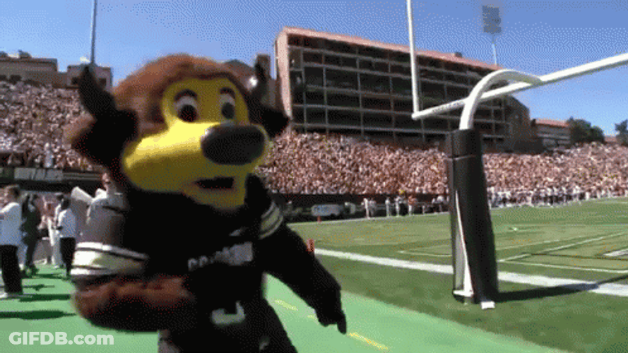 Buffs Mascot Ralphie Happy Dance GIF