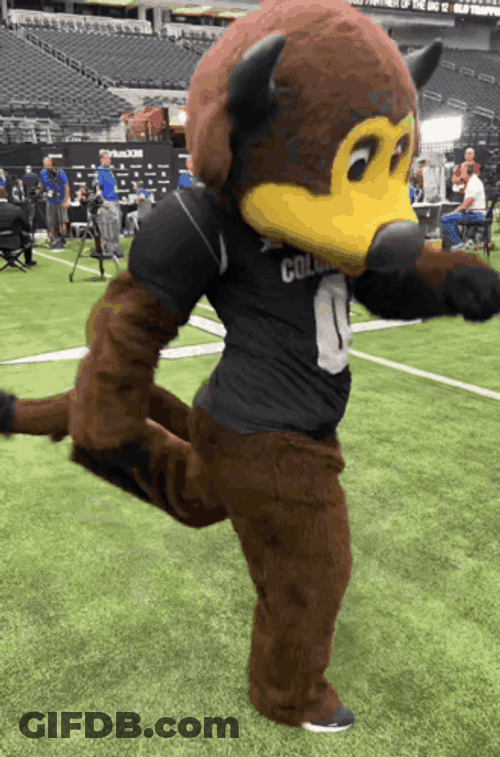 Buffs Mascot Ralphie Pumped Up Dance GIF