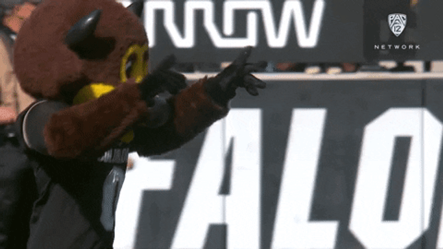 Buffs Mascot Ralphie Rallying Crowd GIF