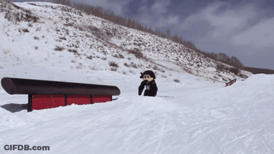Buffs Mascot Ralphie Skiing Exhibition GIF