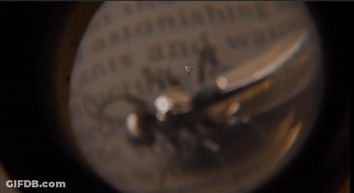 Bug Close Up Saying I'm Gonna Call Him Ant-Thony GIF