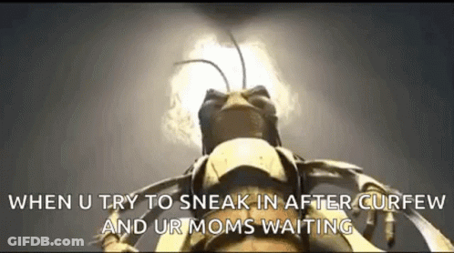 Bug Close Up Sneaking After Curfew Mom Waiting GIF